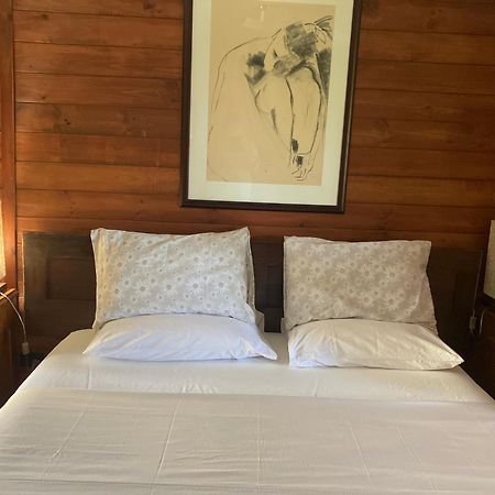 Potters Cottage Bellingen Kültér fotó